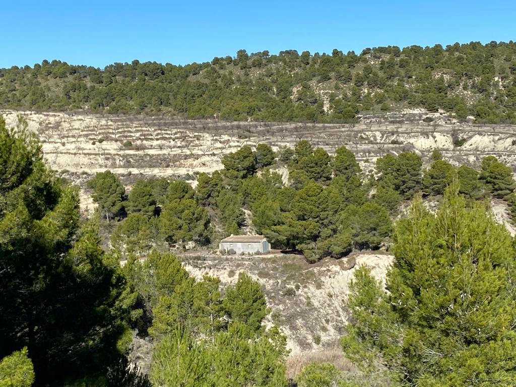 Finca 50 Ha